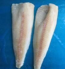 pollock fillet