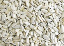 Chinese hulled sunflower seed kernels confectionary