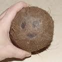 Green Young Coconut