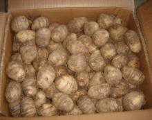 Fresh Chinese Taro