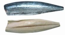 mackerel fillets