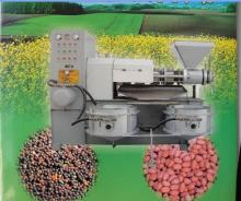 Screw Oil Press Machine
