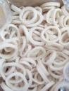 squid ring