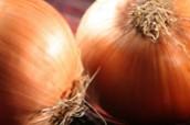 IQF Polish Onion