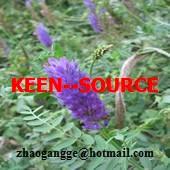  Astragalus   Root  Extract