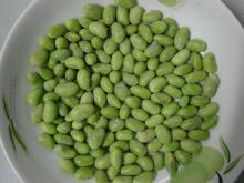 frozen soybeans