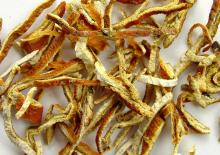 Tangerine Peel Extract