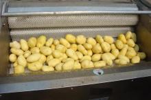 potato washer