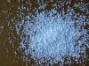 sodium propionate