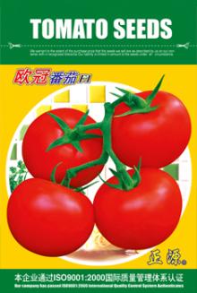 OG TOMATO