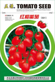 RED CHERRY TOMATO