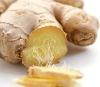  half - dried  ginger ,.excellent grade