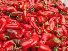 freeze dried peppers