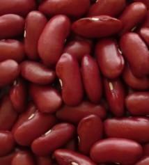 red kidney beans-british type