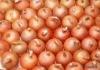 yellowonion ,Onions containing coffee  acid  mustard  acid  cinnamie  acid ,  citric   acid  salt polysacchari
