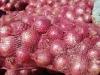 fresh onion ,containing coffee acid mustard acid cinnamie acid, citric acid salt polysaccharides and