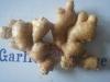 ginger ,nutritions calcium,protein,iron,carbohydrate,dietary fibre, vitamin , carotene ,and many other m
