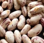 light speckled kidney beans 2011