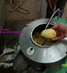 potato  processor   machine 