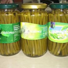 canned green bean
