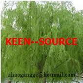 White  Willow  Bark  Extract 