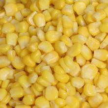 IQF sweent corn
