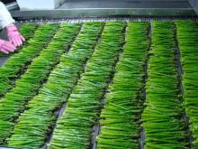asparagus spears