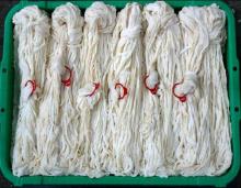 Salted  Hog   Casing 