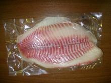 tilapia