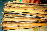 Split Cassia thin