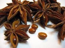 Viet Nam star aniseed