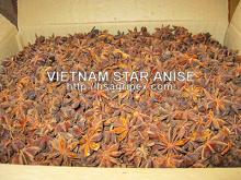Vietnam star anise (Vietnamese star aniseed)