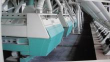 100T complete set of equipment for buckwheat