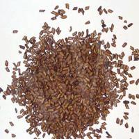 Cassia Seed Extract