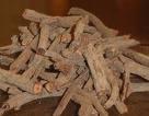 Madder Root Extract