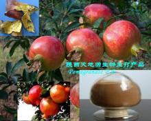 Granatum extract