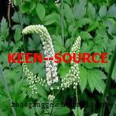 Black Cohosh extract