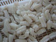 Supply IQF  squid   pineapple 