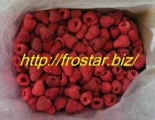 Individual Frozen Raspberry