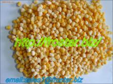 IQF   Corn  Kernel