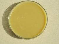 apple puree concentrate