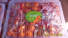 nanfeng orange