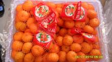 fresh nanfeng orange