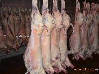 HALAL CHILLED/ FROZEN GOAT CARCASS