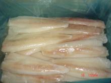  apo  fillet