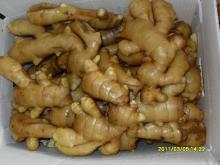  Half   air   dried   ginger 