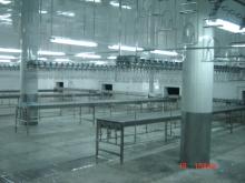 poultry slaughterhouse machine-overhead chain conveyor