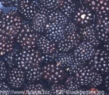 frozen blackberries