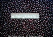 frozen blueberry