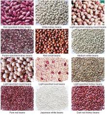  all   kind s of  beans 